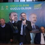 İzmir’de zeytinde hastalık bitti verim arttı