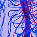 Samsung işletmeler için iklimlendirme sistemlerinde inovatif teknolojileriyle fark yaratıyor