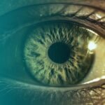 İzmit’te Yolcu Otobüsünde 200 Bin Gümrük Kaçağı Makaron Ele Geçirildi