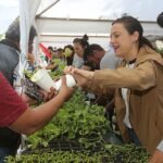 Bir yılda 10 bin meyve fidanı dağıtılacak