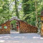 Renk değişimine plankton patlamaları neden oldu