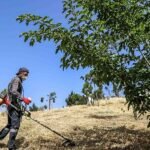 Uzun ömür için yaşam tarzı genetikten daha önemli! Uzun bir ömür için oruç…
