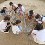 Anadolu Efes, “Eşitlik Bir Güne Sığmaz” projesiyle EuroLeague Devotion Pazarlama Ödülleri’nde finalde