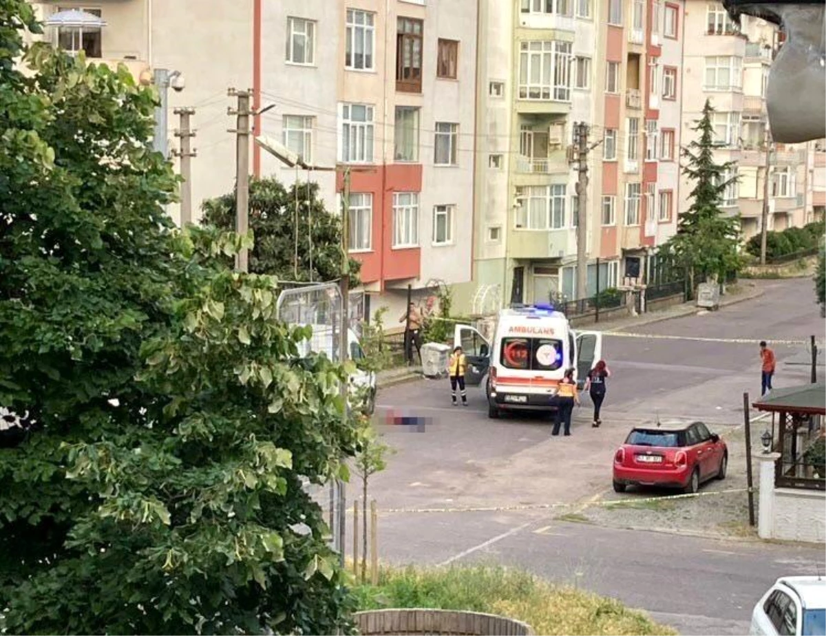 Cezaevinden çıkan sanık, cinsel istismar iddiasıyla yaşlı adamı öldürdü