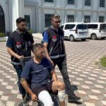 Restoranın çatısından düşen yavru kediler kurtarıldı