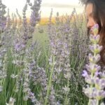 Başkan İbrahim Sandıkçı: “Akıncı TİHA öğrencilerimize ilham oluyor”