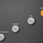 Muğla’da Hentbol Yatırımları ve Altyapı Çalışmaları Hız Kazanıyor