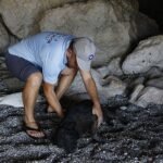 Gölcük’te Plaj Voleybolu Yoğun İstek Üzerine Yeniden Başlıyor