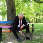 Nevşehir Belediyesi, hafta sonu tüm birimleriyle saha da altyapı ve üstyapı çalışmalarını sürdürüyor.