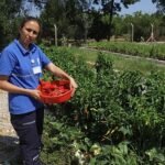 Paris 2024’te Nafia ve Taha’dan İki Bronz Madalya