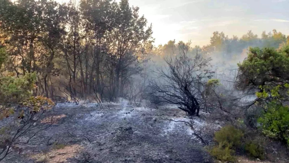  Gebze’deki Orman Yangını Kontrol Altına Alındı