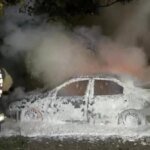 Kocaeli’de Fındık Hasadı Başladı