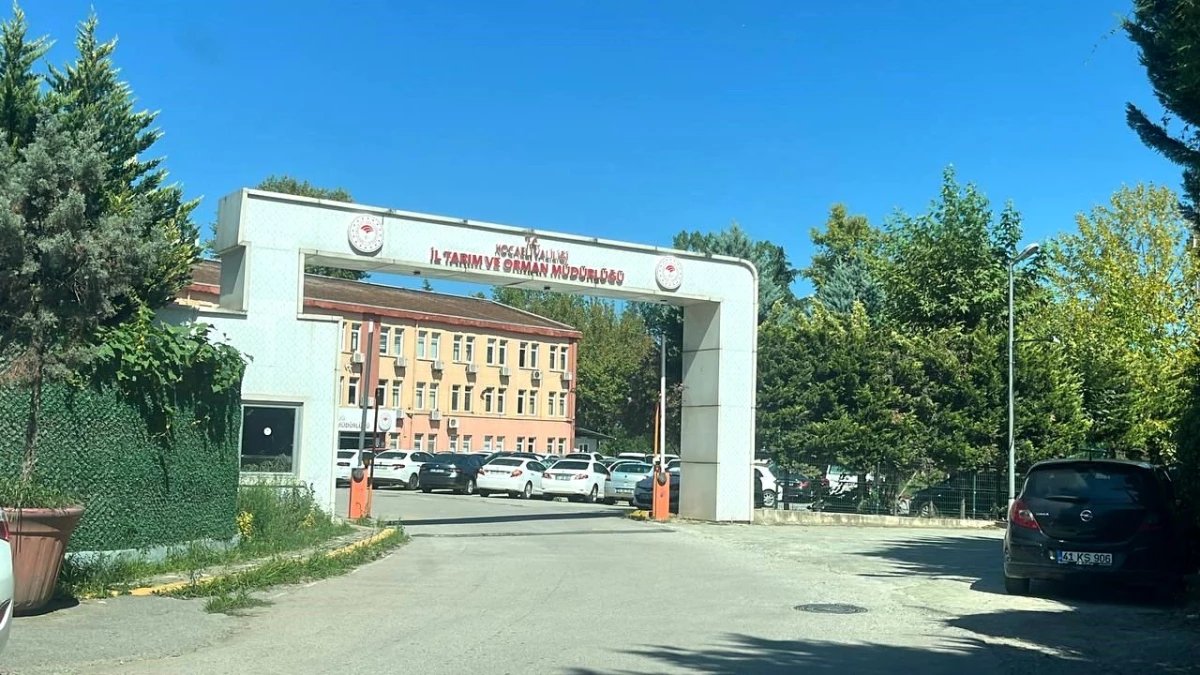 Kocaeli İl Tarım ve Orman Müdürlüğü’nde Mesai Saatlerinde Personel İddiası