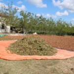 Kocaeli’de Hafriyat Kamyonuyla Çarpışan Otomobil İstinat Duvarından Uçtu: 2 Yaralı