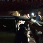 Kocaeli’de Fındık Hasadı Başladı