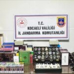 Yeşil Koltuk Söyleşileri Ormanya’da Devam Ediyor