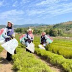 Down sendromlu genç bir günlüğüne zabıta oldu