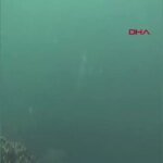 İstanbul’daki Motosiklet Kazasında Hayatını Kaybeden Genç Toprağa Verildi