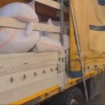 Hüseyin Doğan: Çocukluk Hayali Bitki Fotoğrafçılığı ile Akademik Kariyerine Adım Attı