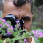 İzmit’te 1 Milyon TL Değerinde Altın, Döviz ve Para Çalan Kadın Yakalandı