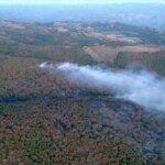 Kocaeli’de orman yangını 3 saatte kontrol altına alındı