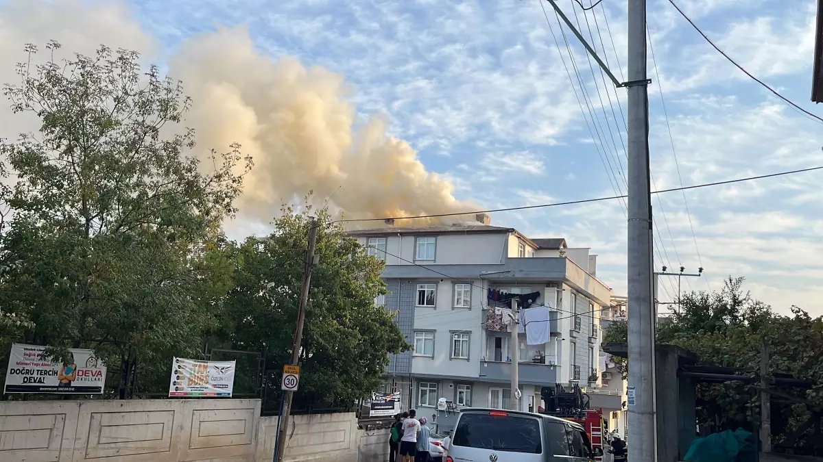 Kocaeli’de Mangaldan Çıkan Kıvılcımlar Yangına Sebep Oldu