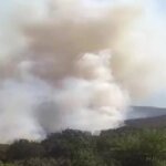 Karamürsel’de Ormanlık Alanda Yangın Çıktı