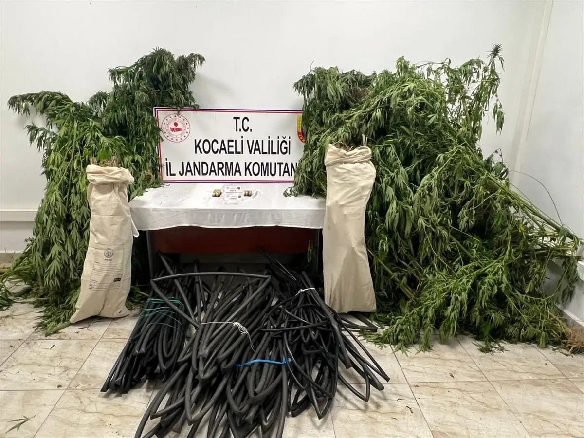Kocaeli’de Uyuşturucu Operasyonu: 4 Şüpheliden 1’i Tutuklandı