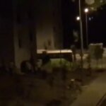 Gebze’de silahlı saldırı: Bir kişi yaralandı