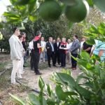 Dikkat! Enfeksiyonlardan Korunayım Derken!