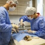 Başkan Kırgöz, öğretmenler ile kahvaltıda buluştu