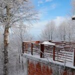 Kocaeli’nde Bebeğini Kaybeden Anne Doktor Hakkında Suç Duyurusunda Bulundu, Sağlık Bakanlığı Soruşturma İzni Vermedi