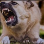 Aliağalı Kadınlar Pilates ve Aerobikle Hem Fiziksel Hem Ruhsal Sağlıklarını Geliştiriyor