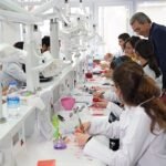 Tüik: Kasım ayında genel ticaret sistemine göre ihracat %3,1 azaldı, ithalat 2,7 arttı