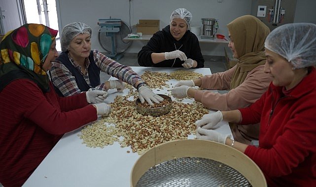 Deprem Bölgesinde Kadın Kooperatiflerinin Umut ve Dayanışma Hikayesi: “Yeniden” Digiturk’te