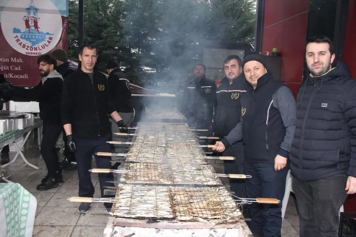 Kocaeli’de Hamsi Şöleni: 1 Ton Hamsi İkram Edildi
