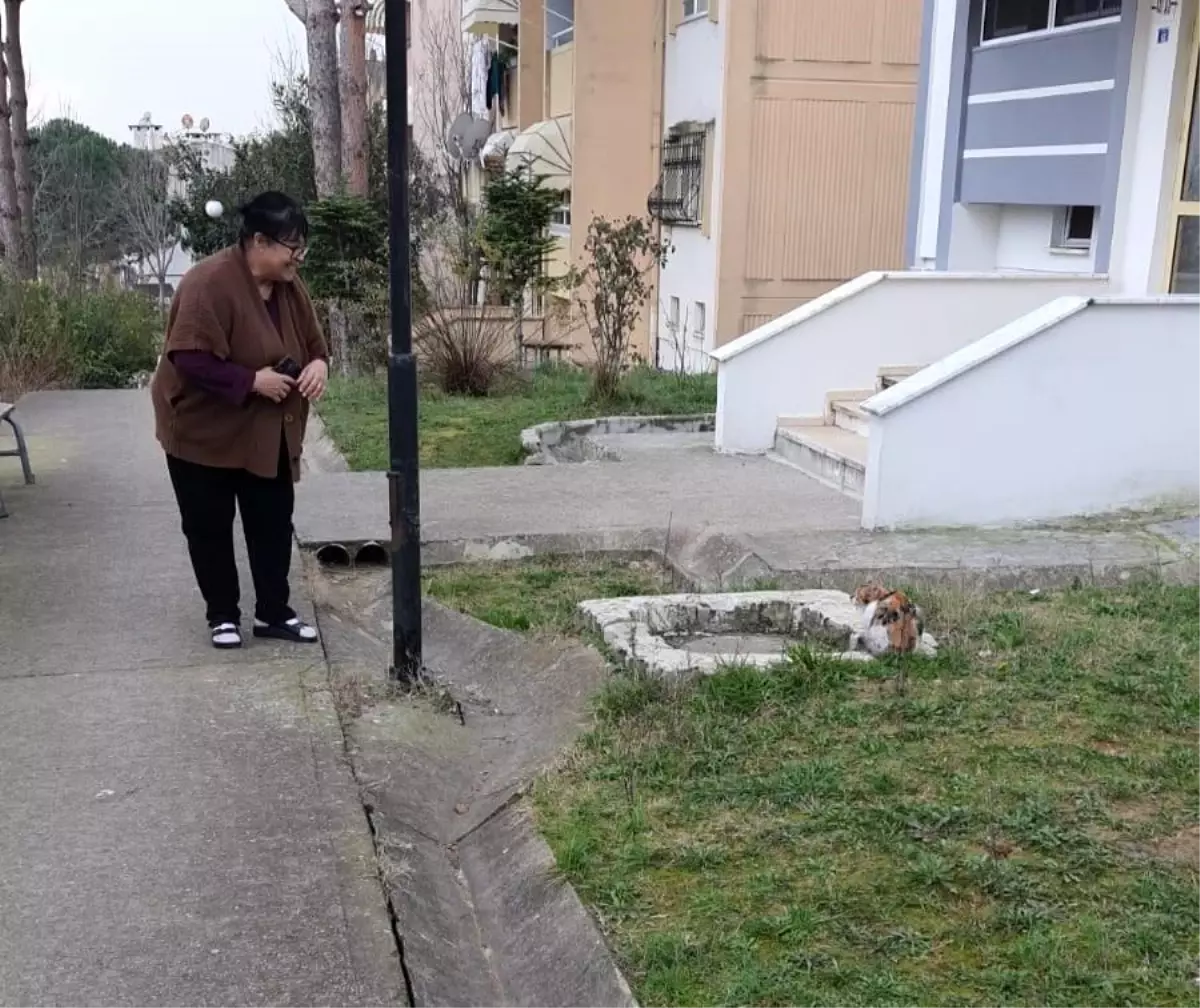  Kocaeli’nde 10 Gün Mahsur Kalan Kedi Kurtarıldı