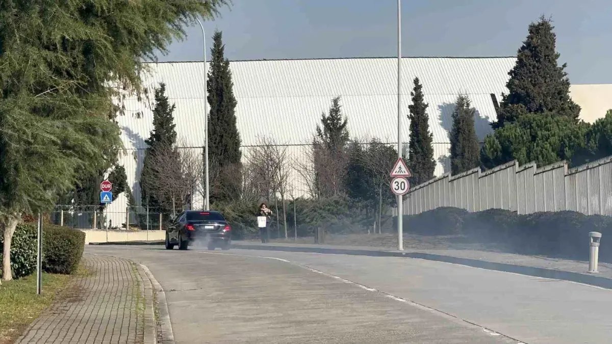 MHP Genel Başkanı Devlet Bahçeli Taburcu Oldu