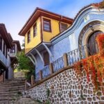 Prof. Dr. Piştav Akmeşe, “CP’li çocukların gelişiminde ailenin tam desteği çok önemli”