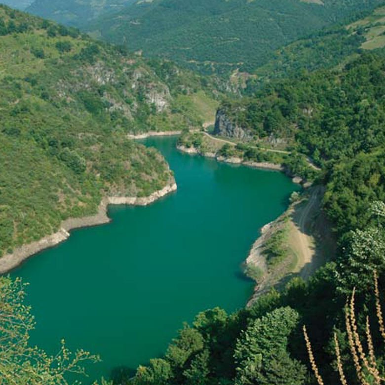 Kocaeli Barajlarında Su Seviyesi Yükseldi