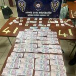 Kocaeli’de Ağaç Budama Çalışmaları Tepki Çekti