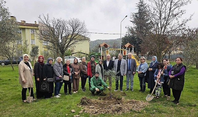  Gölcük’te Orman Haftasında Zeytin Ağaçları Toprakla Buluştu