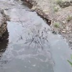 Togg T10X kullanıcıları Ramazan Bayramı’nda 