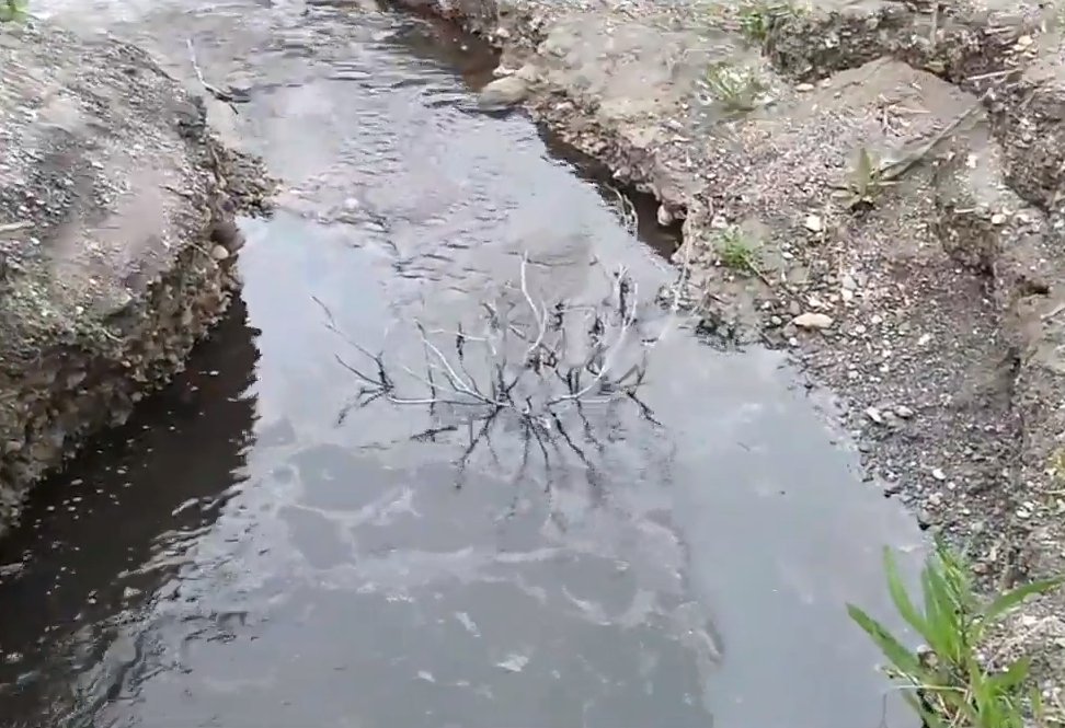 Sapanca Gölü’ne Yakıt Sızıntısı: “Biz Bu Suyu İçiyoruz!”