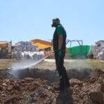 Egeli akademisyenler bilim dünyasına yeni bir denizel omurgasız türü kazandırdı