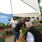 Lions Sailing Cup tamamlandı!