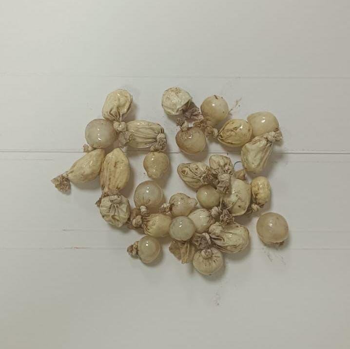 Alkollü sürücü sanıldı, midesinden 28 kapsül uyuşturucu çıktı