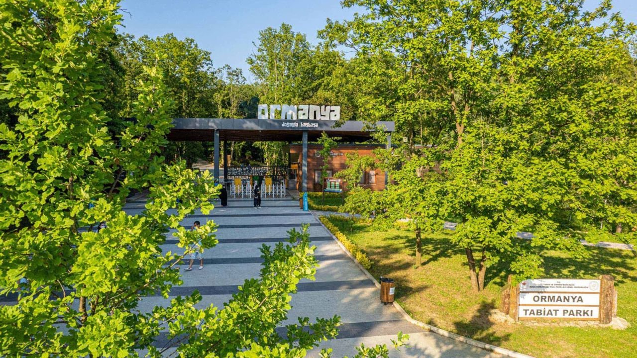Ormanya: Yaz hazırlıkları tamamlandı