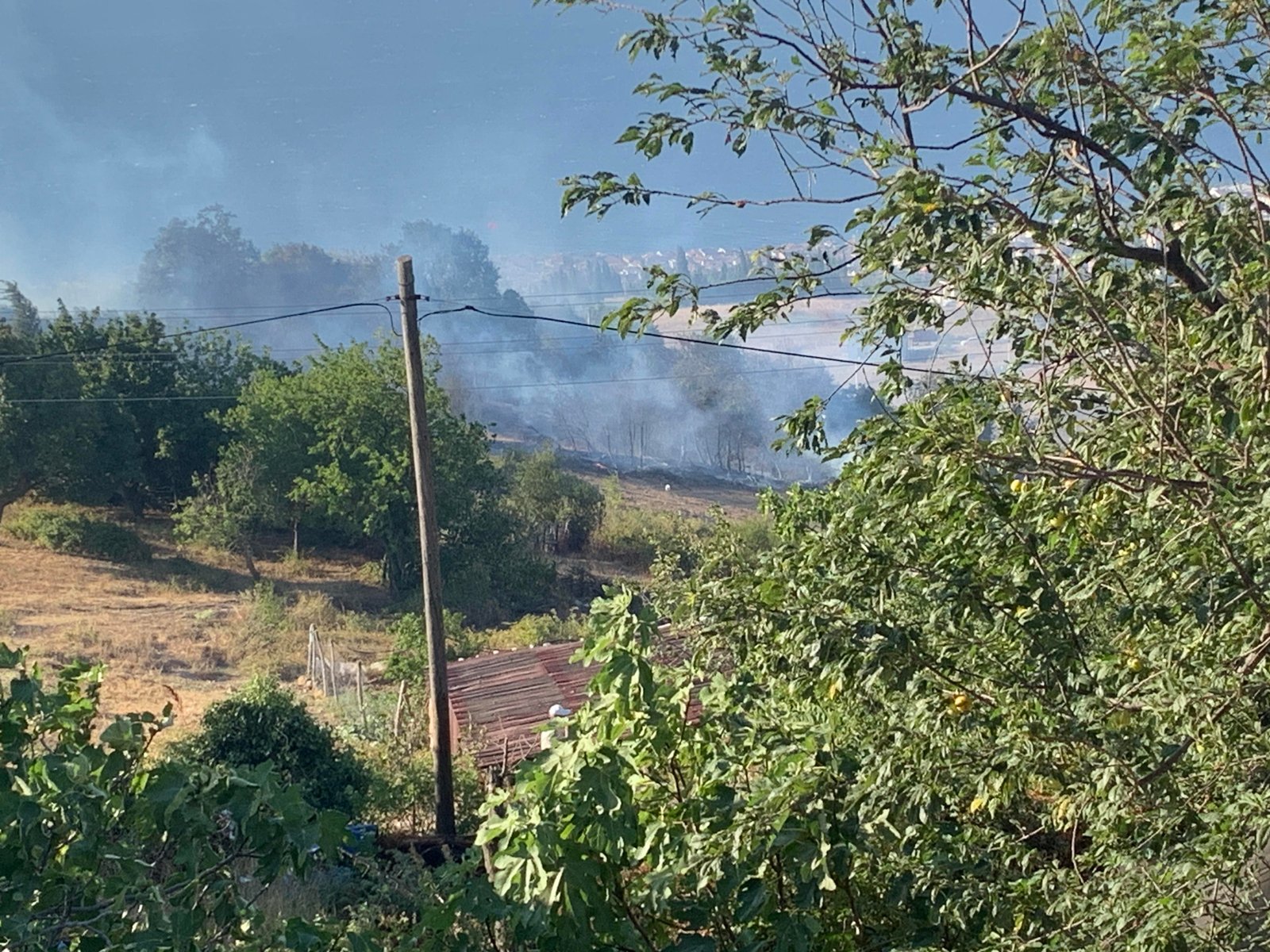 Kocaeli’de Orman Yangını: Ek Fotoğraflar