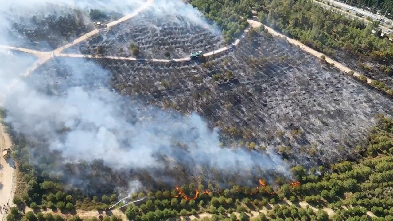Kocaeli’de ağaçlık bölgede yangın